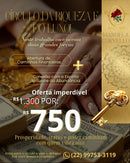 Círculo da Riqueza e do Luxo – Abertura Financeira & Conexão com a Abundância